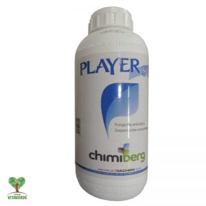 Fungicida Player Sc lt 1                                                                                                        