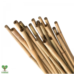 Tutori, Canne in bamboo